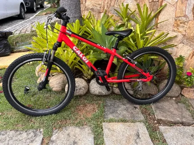 Caloi Wild Vermelha Aro 24