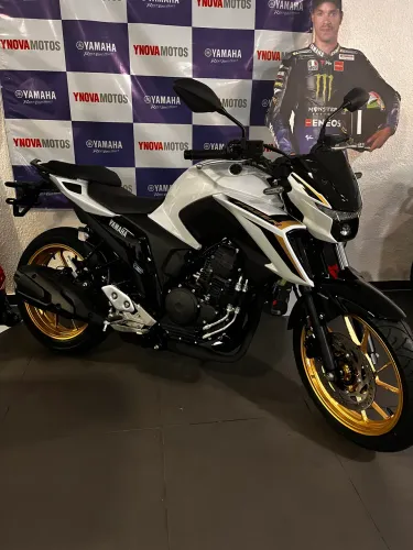 FZ25 Zerada