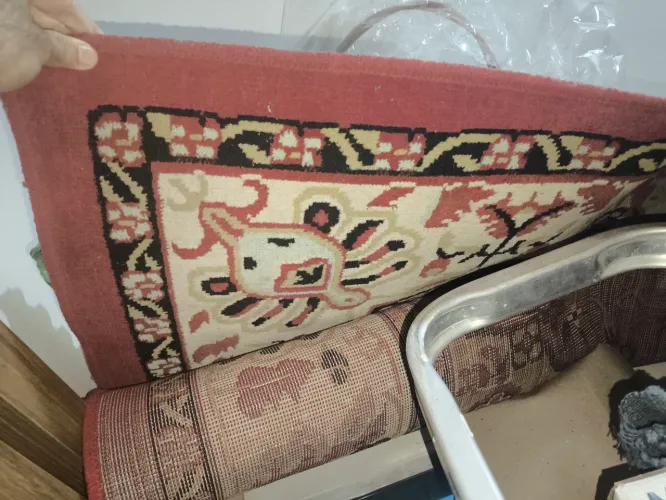 Tapete Padronização Estilo Presa 2,50m Por 3m