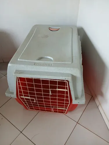 Contêiner de cachorro