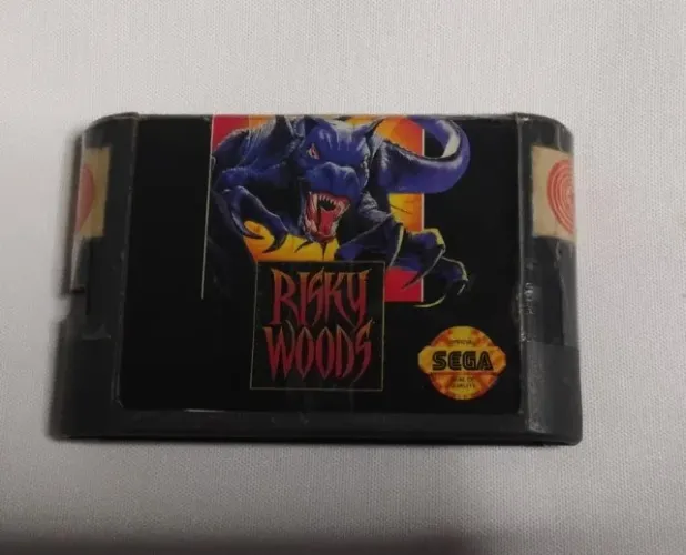 Risky Woods Mega Drive