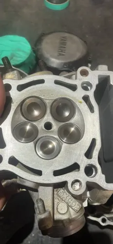 Motor de wr 250 F