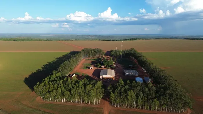 Vendo uma fazenda de 3.752,93 hectares na região de Canarana MT