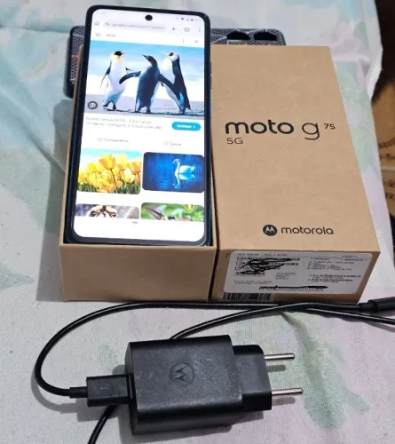 Celular Motorola G75 8GB 256GB (usado)