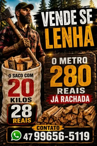 Lenha rachada eucalipto para lareira, churrasqueira, fogão a lenha.