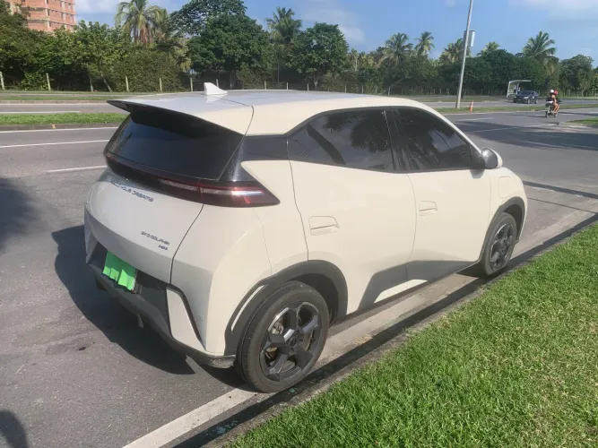 BYD Dolphin Mini (Elétrico) 2024