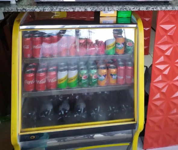 Balcon refrigerador 
