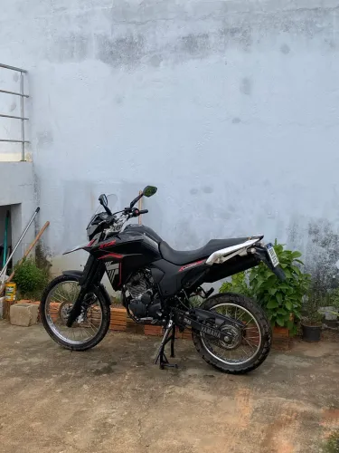 lander 250 2024