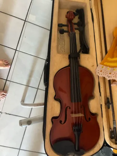 Violino