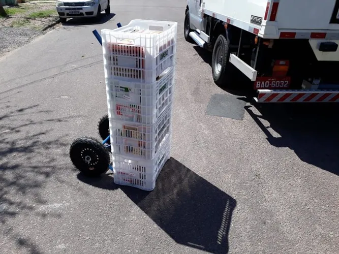 Carrinho de carga bem resistente para 200kg