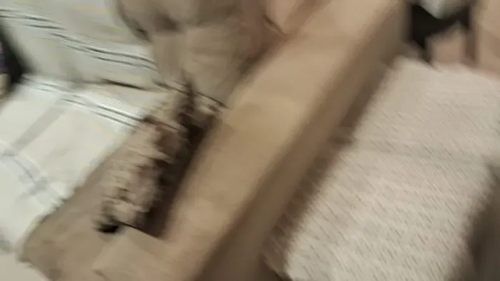 SOFA SUPER NOVO TOP DAS GALAXY