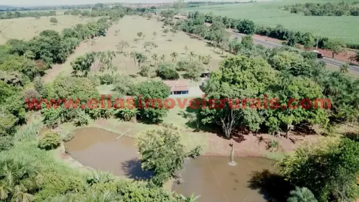 Sítio 3,65 hectares - Casas, muita benfeitoria, muita água.