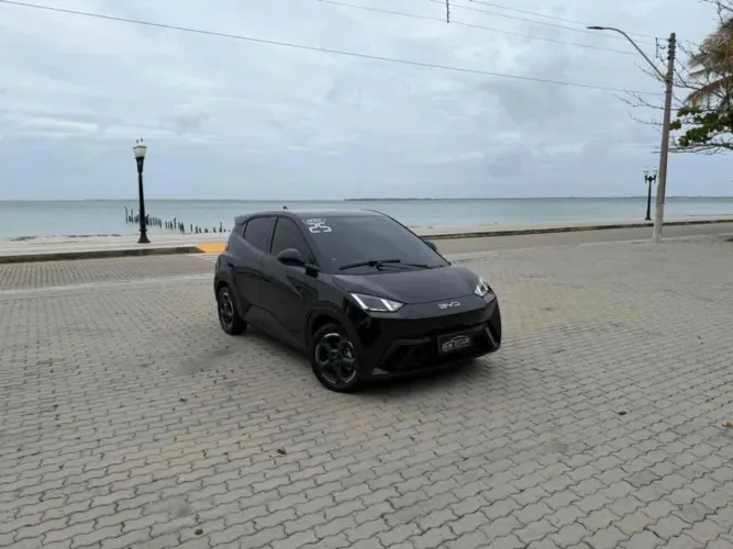 BYD DOLPHIN MINI 2025 - IPVA 2025 PAGO