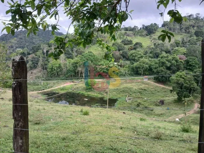 Fazenda com 55 Hectares, entre Ipiaú e Ibirataia