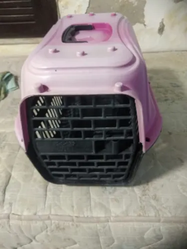 Caixa de transporte para gatos.