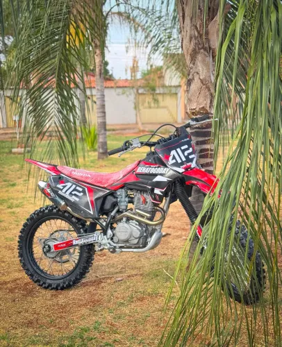 CRF 230 / 2015 / MOTORZÃO / PROZONA