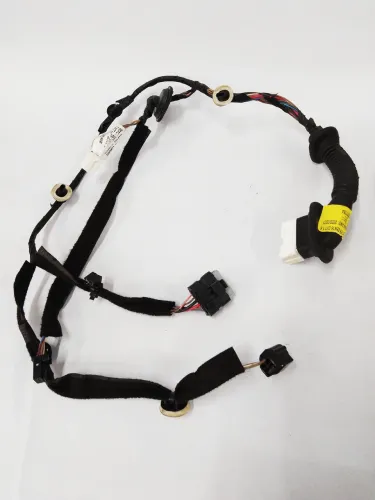 Chicote Porta Traseira Esquerda Renault Duster Zen 1.6 2021