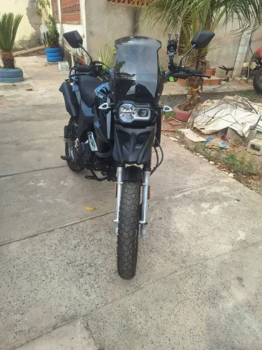 Shi175 2025