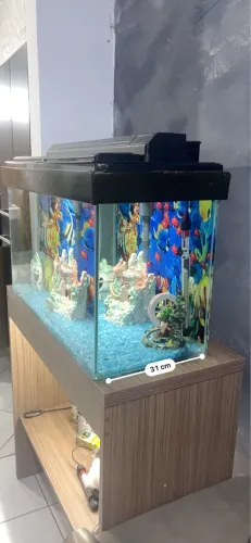 Aquario