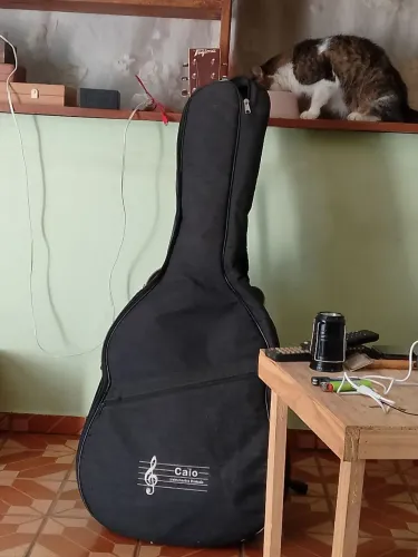 Violão ? elétrico