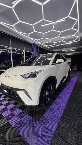 BYD Dolphin Mini (Elétrico) 2027