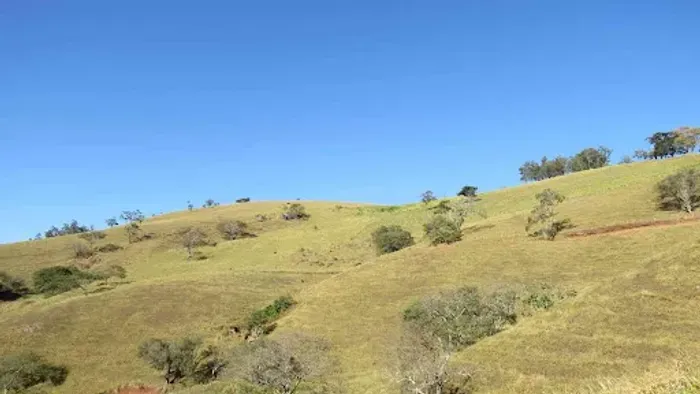 Área à venda, 20000 m² por R$ 350.000,00 - Costas - Gonçalves/MG