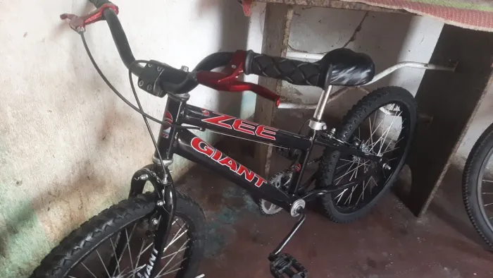 Bicicleta 