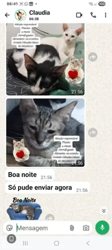 Lindas fofulas para adoção