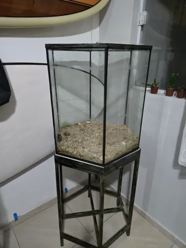 Aquário sextavado 100 litros