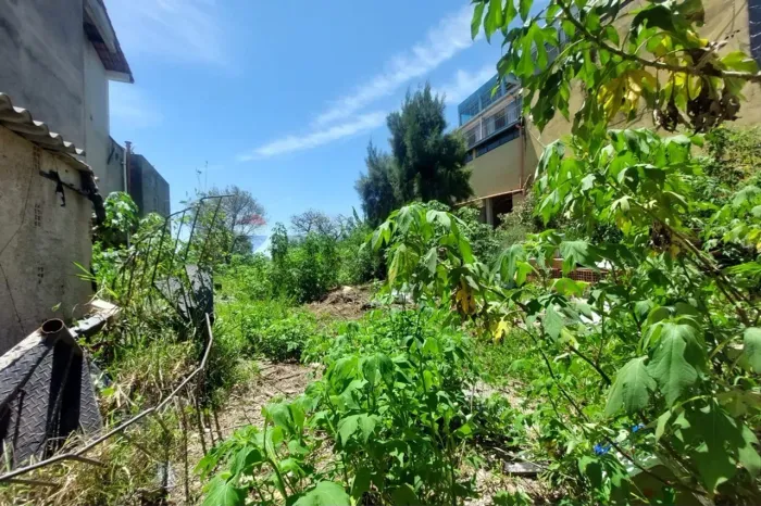 Lote com 750m² a venda no bairro Palmeiras, BH.