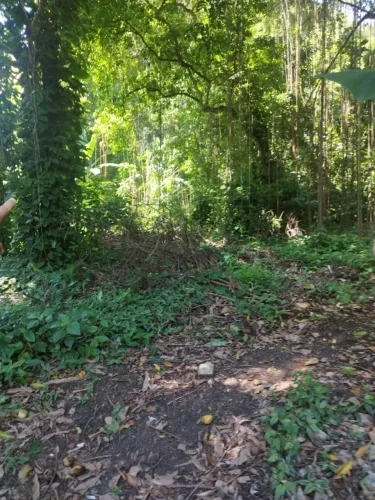 Terreno na Estrada do Rio Grande