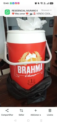 Cooler veleiro Bramha 30 litros