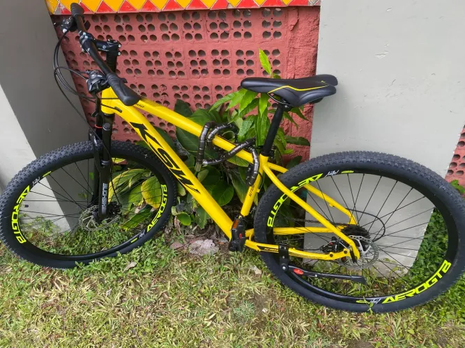 Bike Aro 29