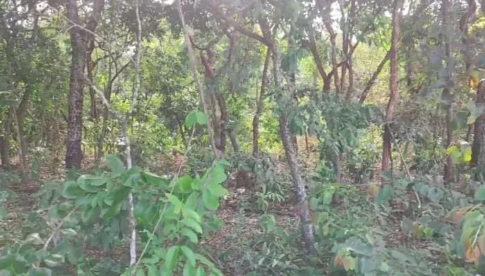 Terreno 1.0 ha - Chácara das mansões