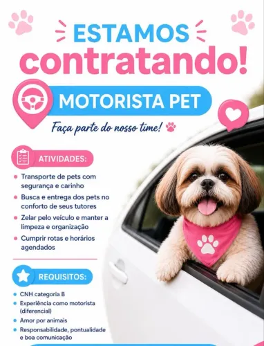 Vaga de motorista(a) táxi dog para pet shop Itapecerica da Serra