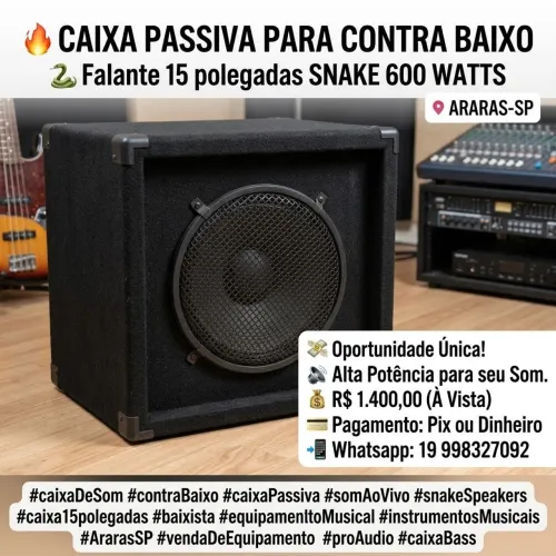 Caixa passiva para contrabaixo falante 15