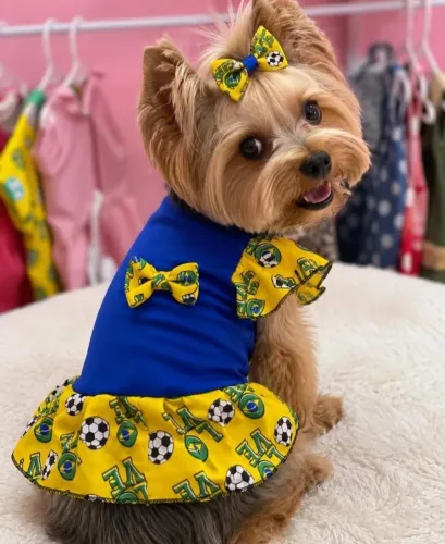 Vestido Brasil pet