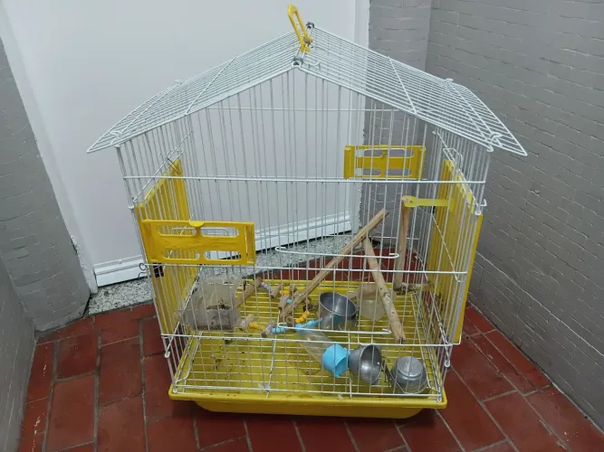 Gaiola em ótimo estado