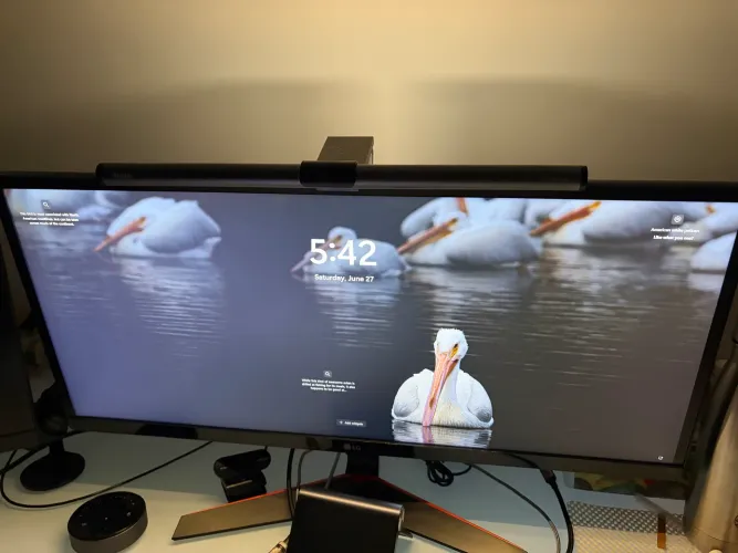 Monitor LG Ultrawide 29 pol