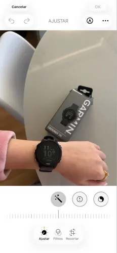 Garmin 245