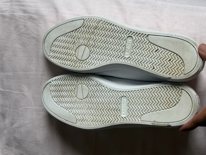 sapato lacoste 