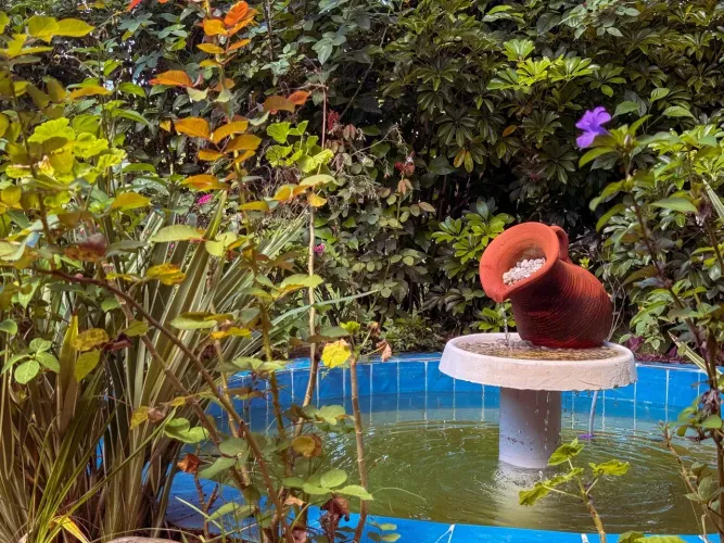 Propriedade de 16.000 m² em Santa Branca Rio Particular, Pomar e Piscina Aquecida