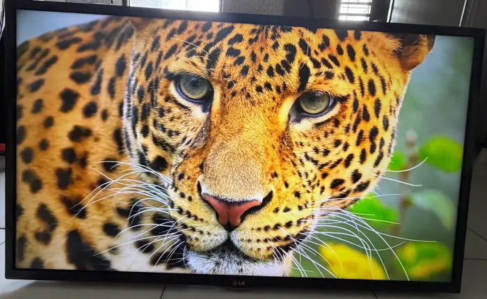 Tv smart LG 43 polegadas aceito cartão