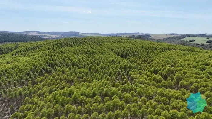 Sítio à venda, 1815000 m² por R$ 12.000.000 - Vila Sao Joao - São Miguel Arcanjo/SP