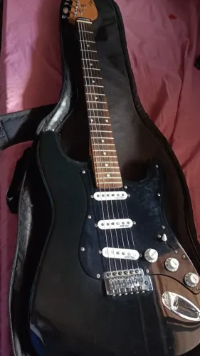 Guitarra Shelter