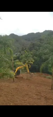 VENDO TERRENO EM MATILDE