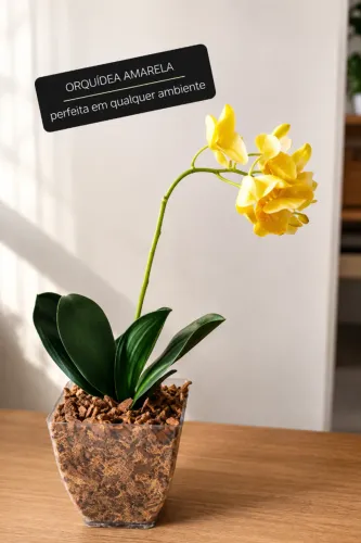 Orquídea amarela para ambiente moderno