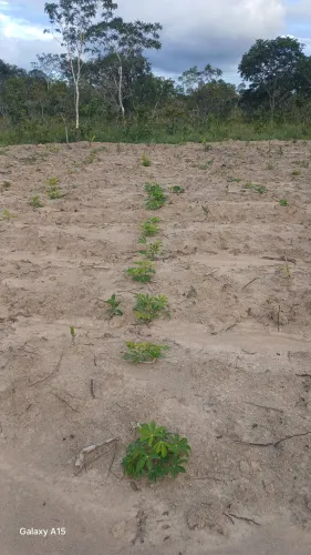 Vendo 5 alqueires de terra entre Teresina de Goiás e Cavlcantes Goiás, ótima oportunidade.