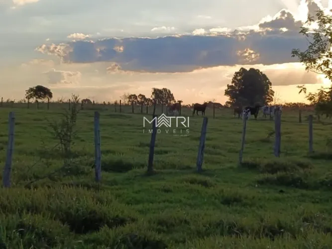 Área / Terreno Grande à venda no Sítio Santo Amaro em Araraquara.