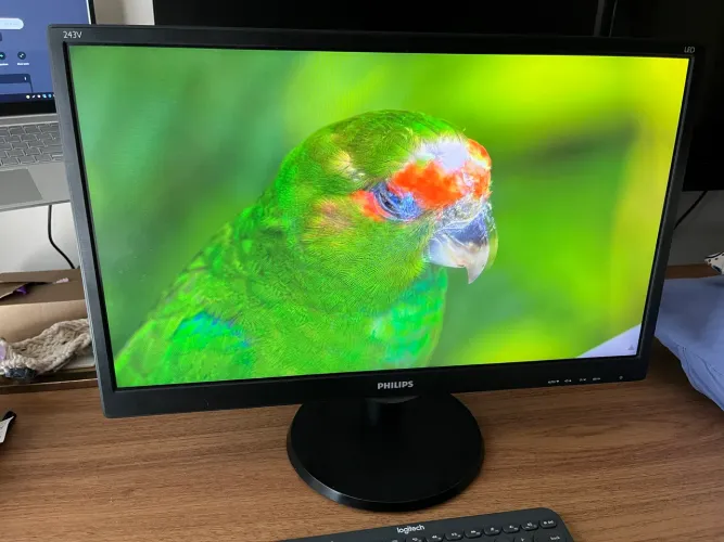 Monitor Philips 24 pol. 1080p